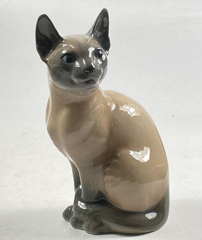 tryk lovgivning finansiere Royal Copenhagen - Porcelænsfigur - Siameser kat - Nr. 3281 | ebuy.dk